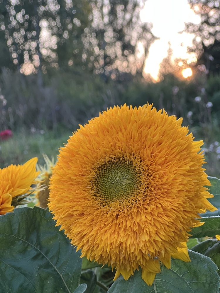 Photograph by Татьяна Михайловна