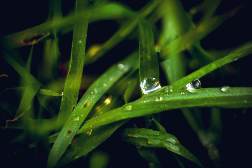Photograph by Игорь Сидун