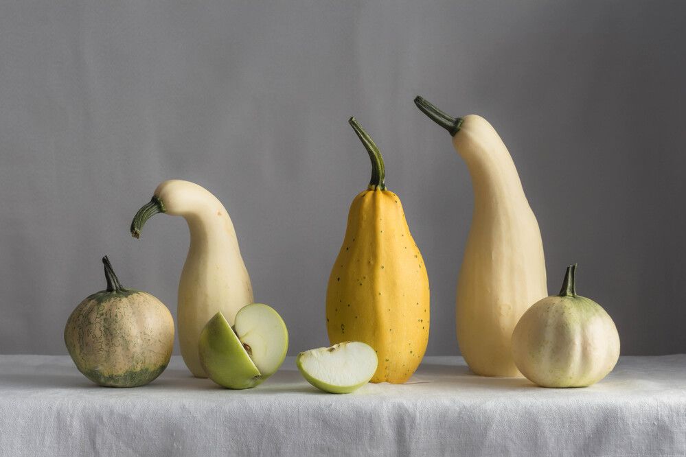 Photograph by Людмила Прибылова