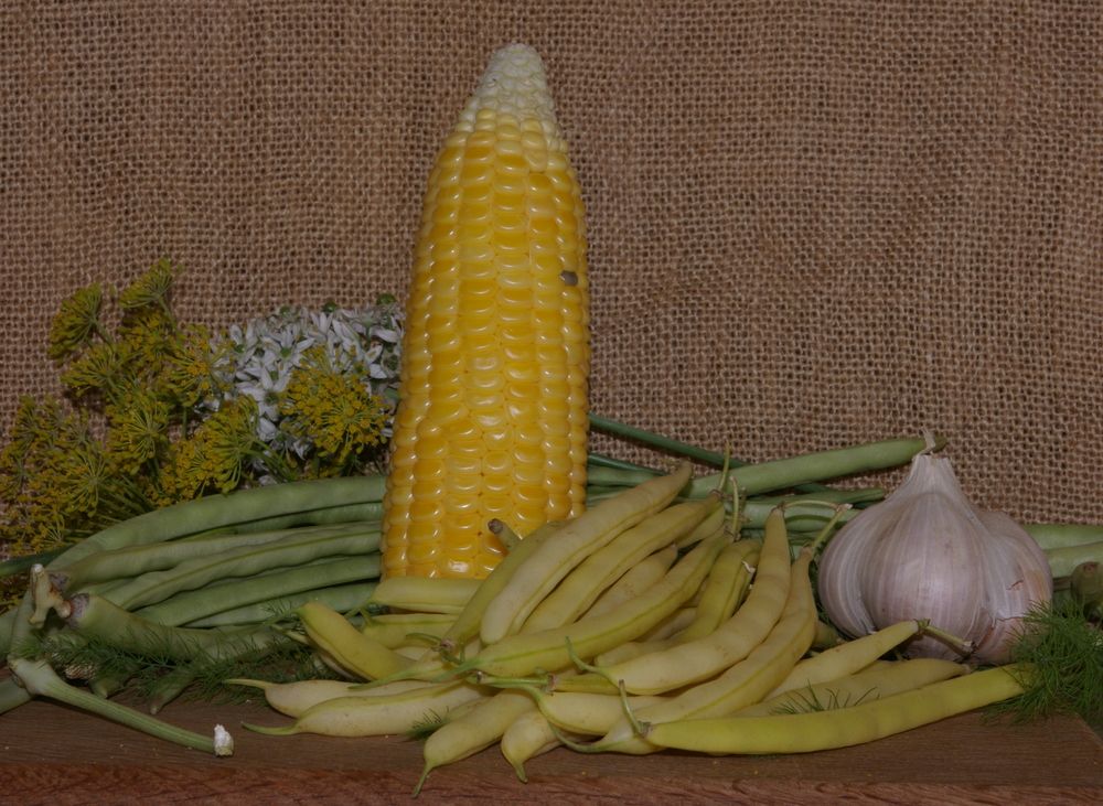 Photograph by Елена Алешкевич