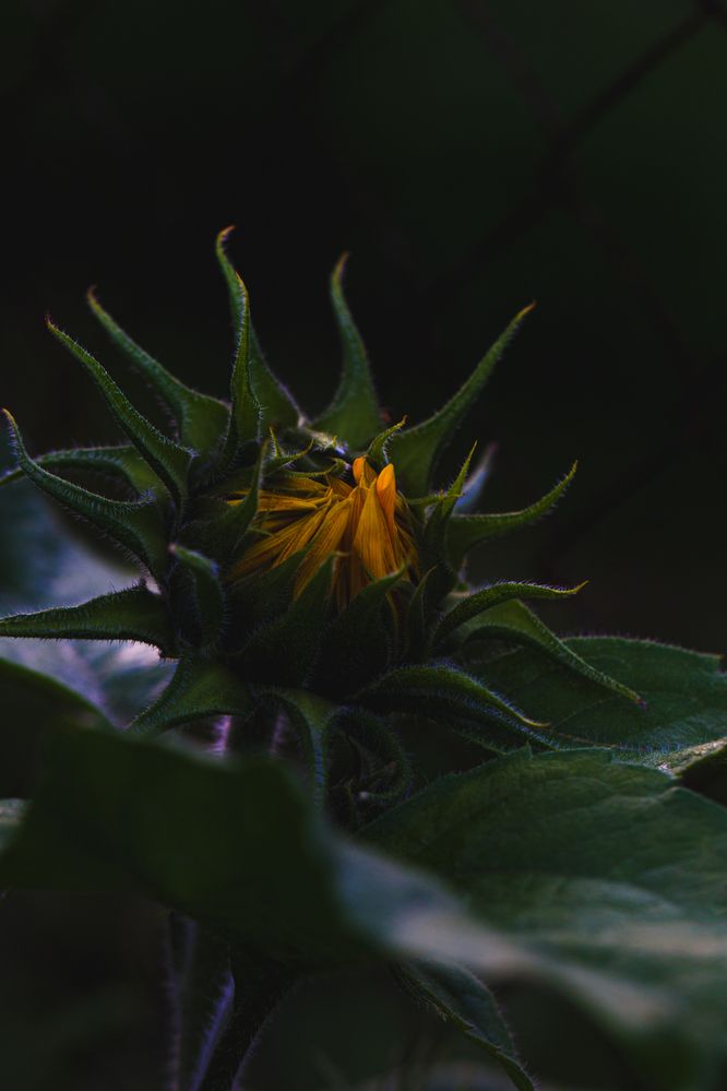 Фотография автора Мария Парамиди