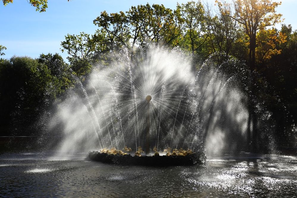Фонтанчик одуванчик