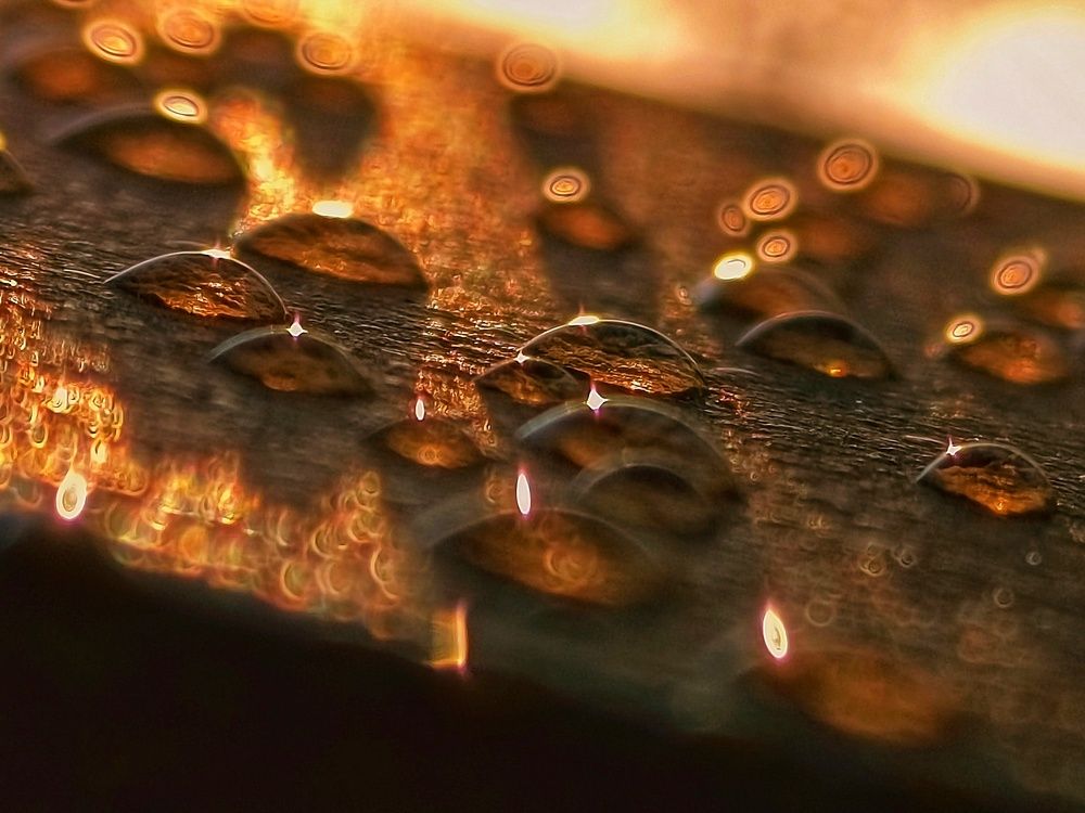 Photograph by Мирослава Сурженко