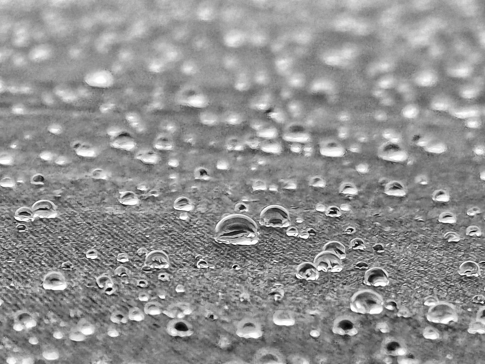 Photograph by Мирослава Сурженко