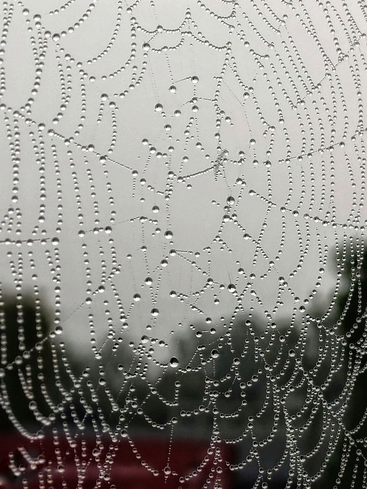 Photograph by Мирослава Сурженко