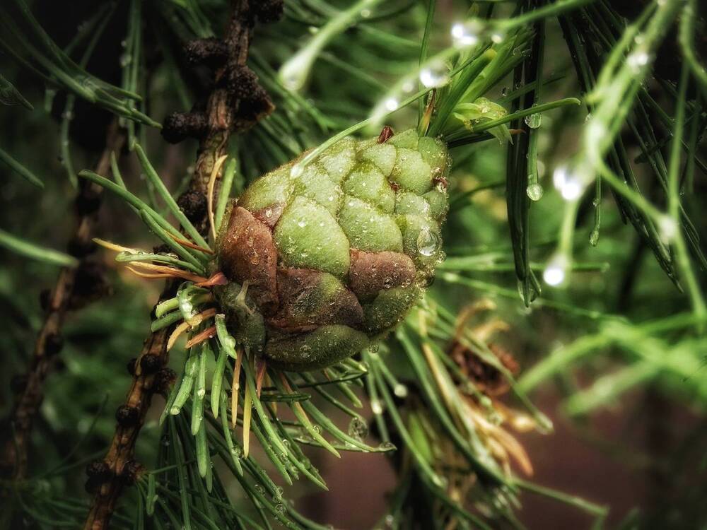 Фотография автора Екатерина Солохина