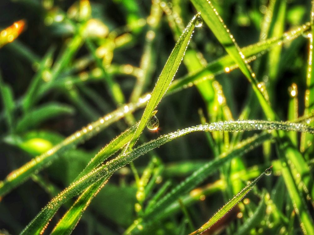 Фотография автора Екатерина Солохина