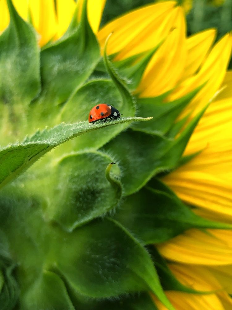 Photograph by Artem Meletov