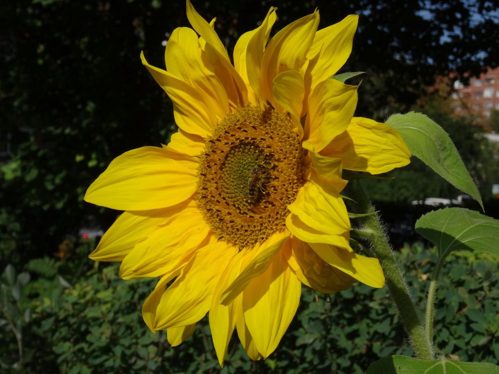 Photograph by Марина Раткун