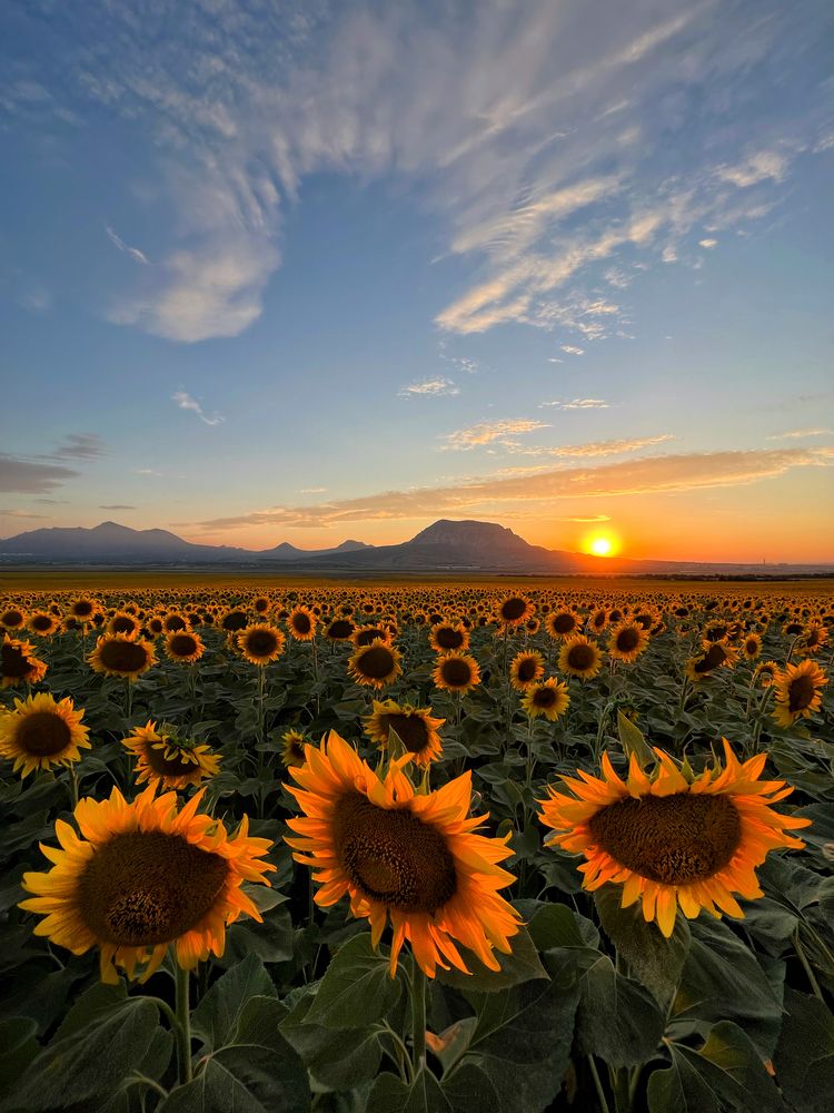 Photograph by Artem Meletov