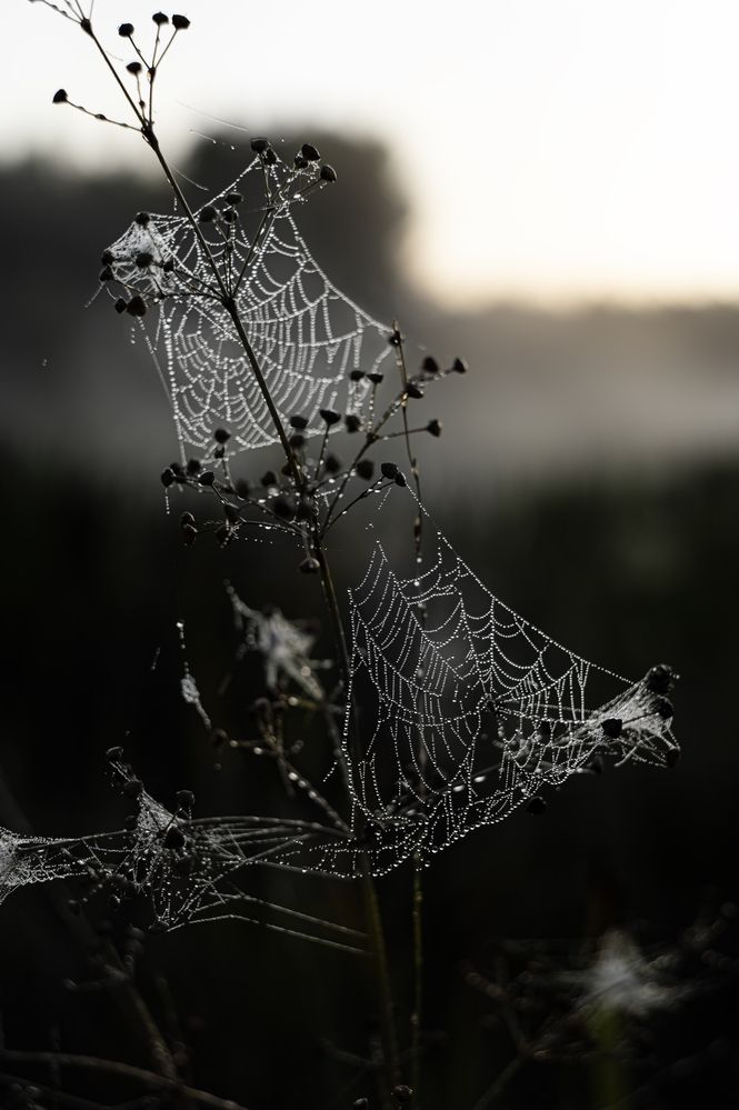 Photograph by Павел Соснин