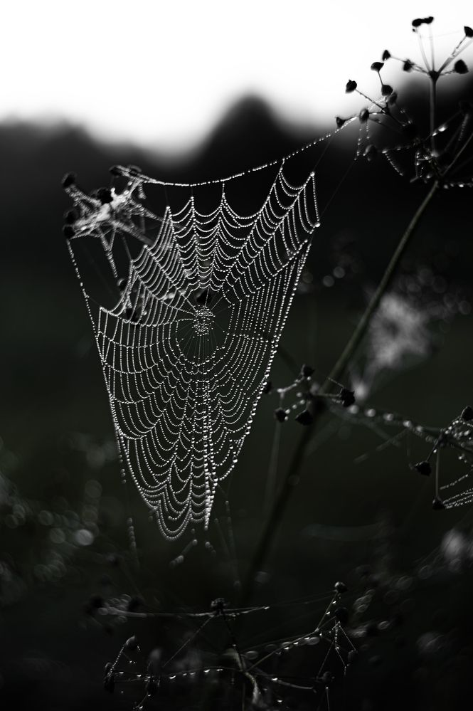 Photograph by Павел Соснин