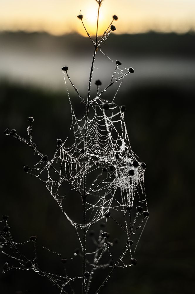 Photograph by Павел Соснин