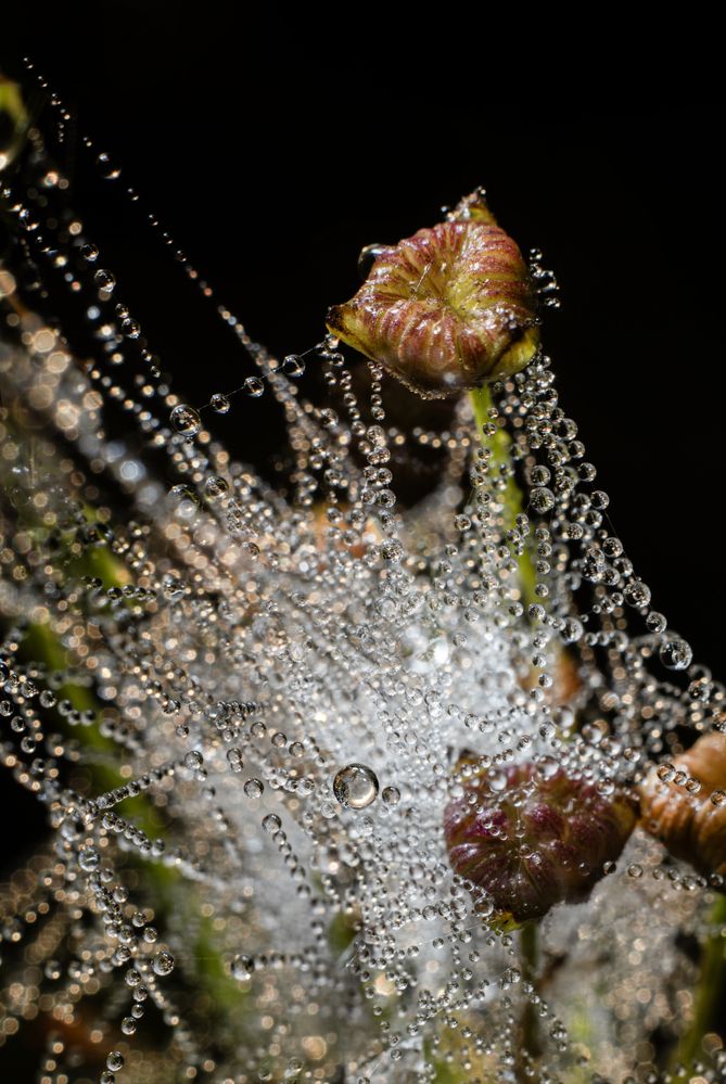 Photograph by Павел Соснин