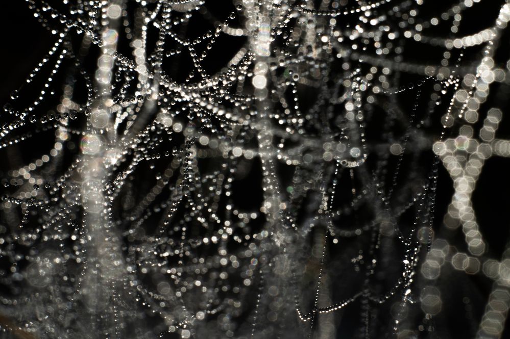 Photograph by Павел Соснин