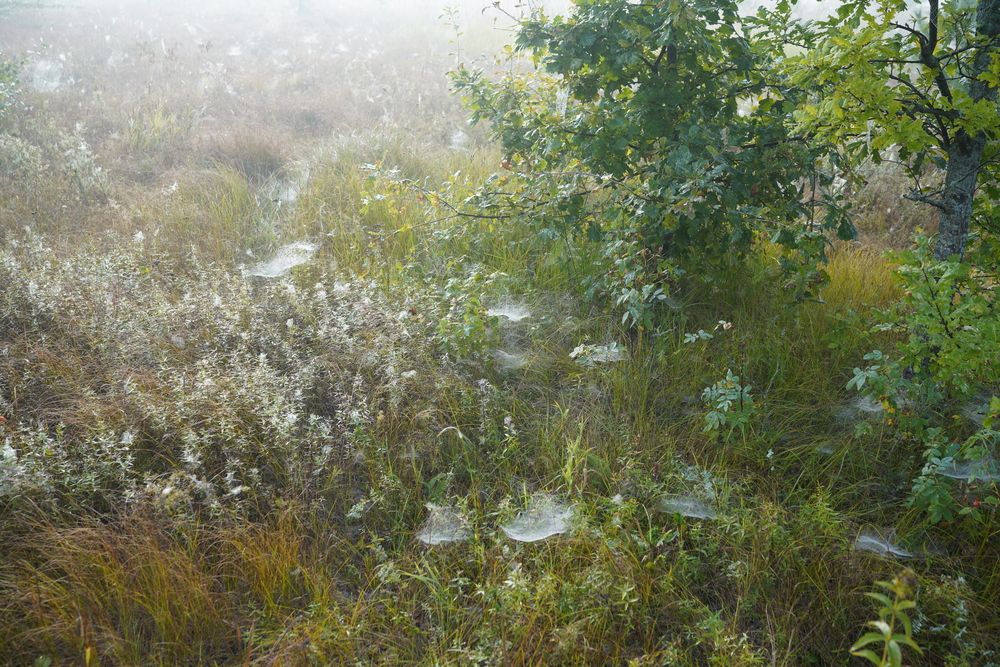 Photograph by Измаил Ефимов