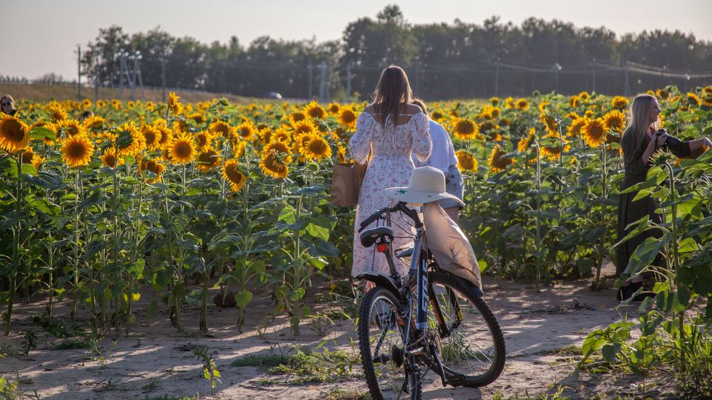 Photograph by Алексей Борисов
