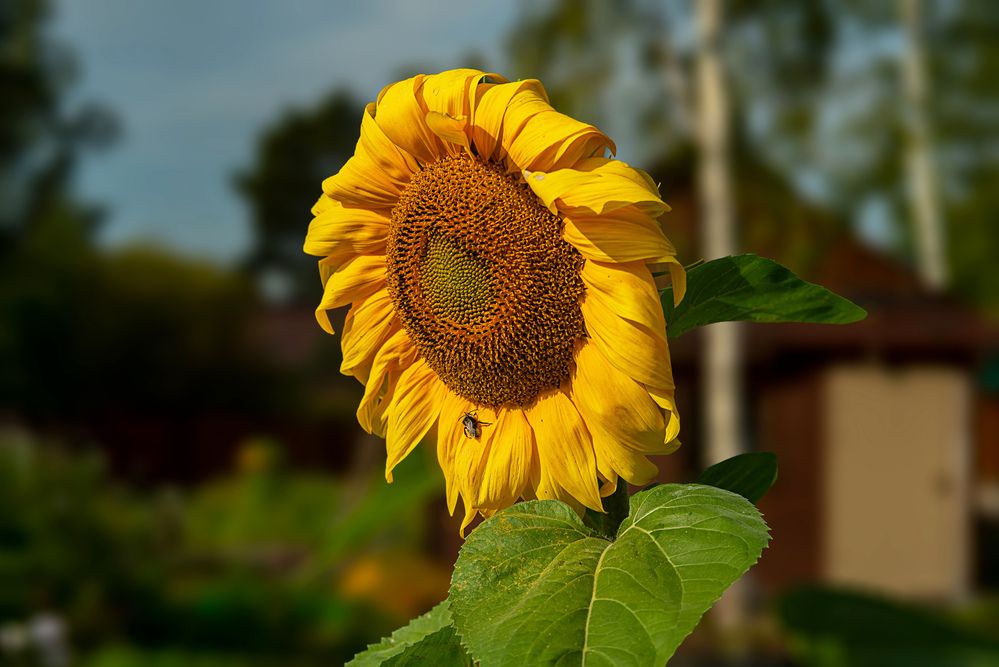 Фотография автора Ольга Егунова