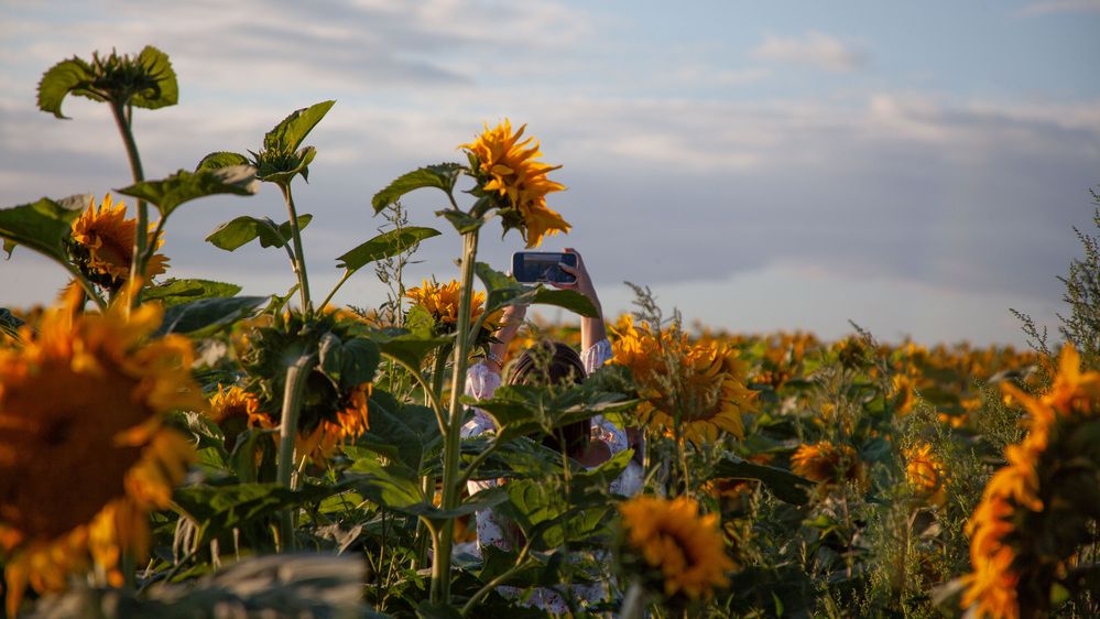 Photograph by Алексей Борисов