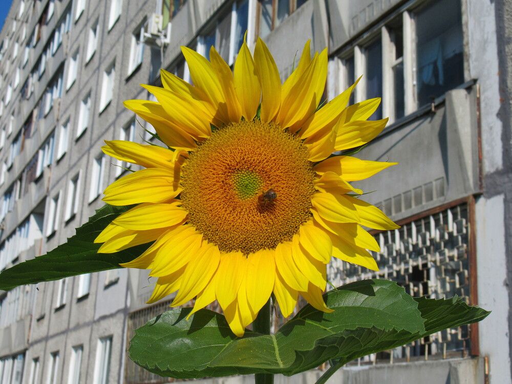 Photograph by Владимир