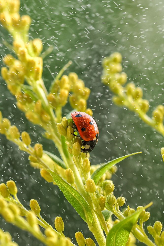 Photograph by Екатерина Топорова