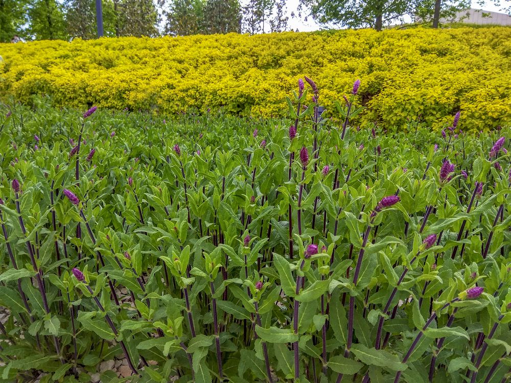 Фотография автора Татьяна Петренко