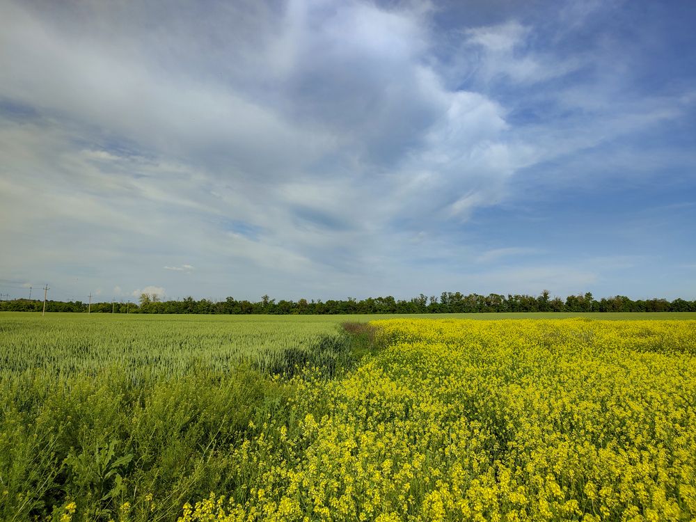 Фотография автора Татьяна Петренко