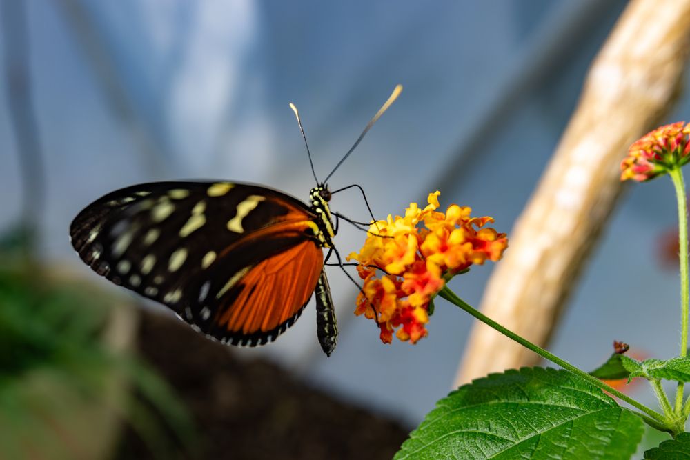 Photograph by Ineta Osipoviča