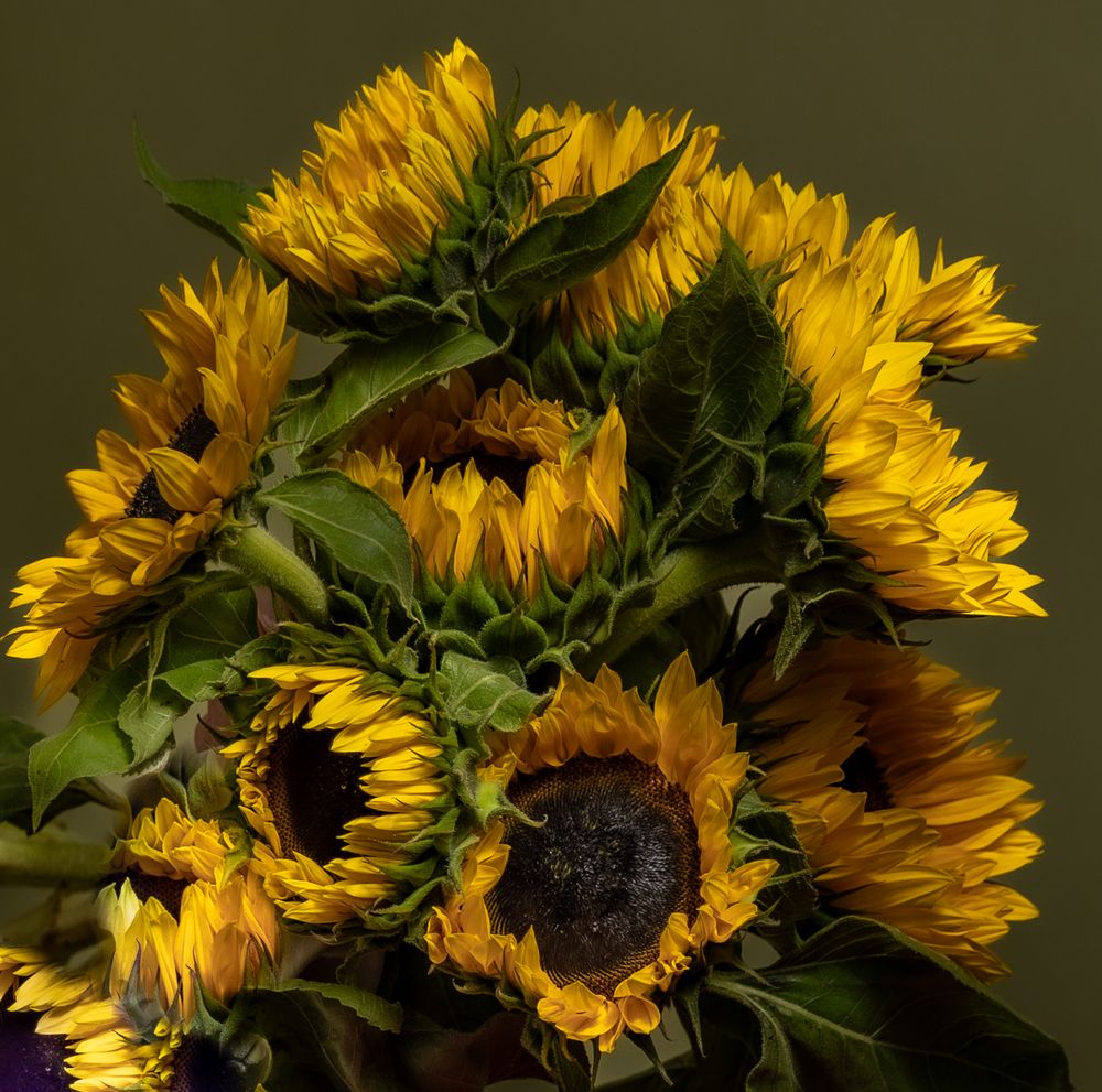 Photograph by Ineta Osipoviča