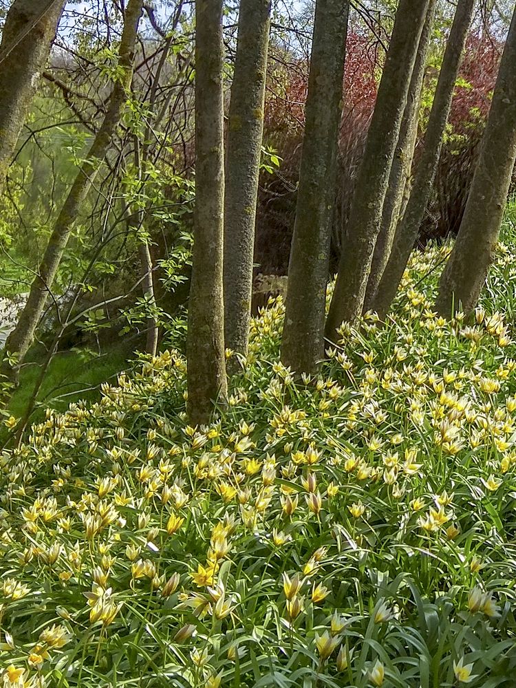 Фотография автора Татьяна Петренко