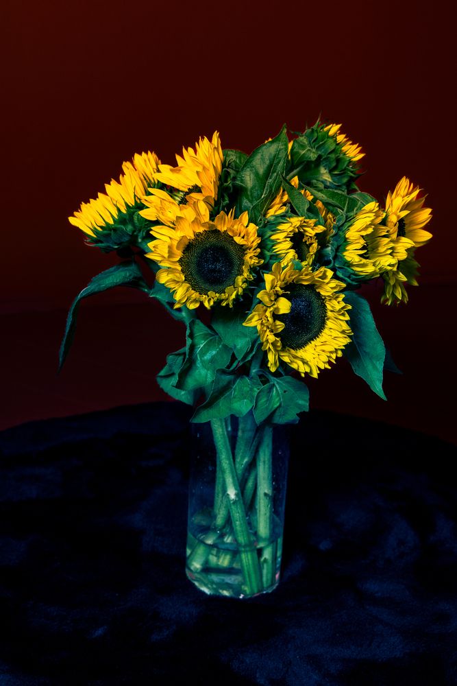 Photograph by Ineta Osipoviča