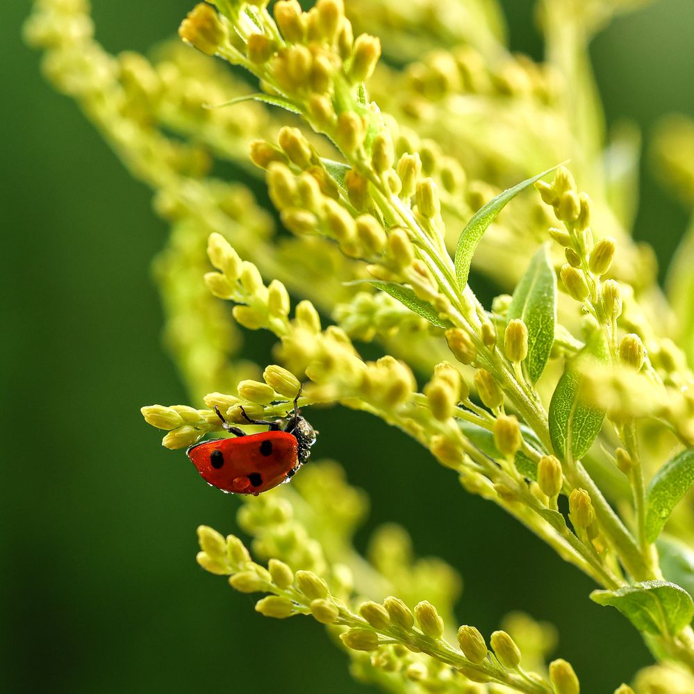 Photograph by Екатерина Топорова