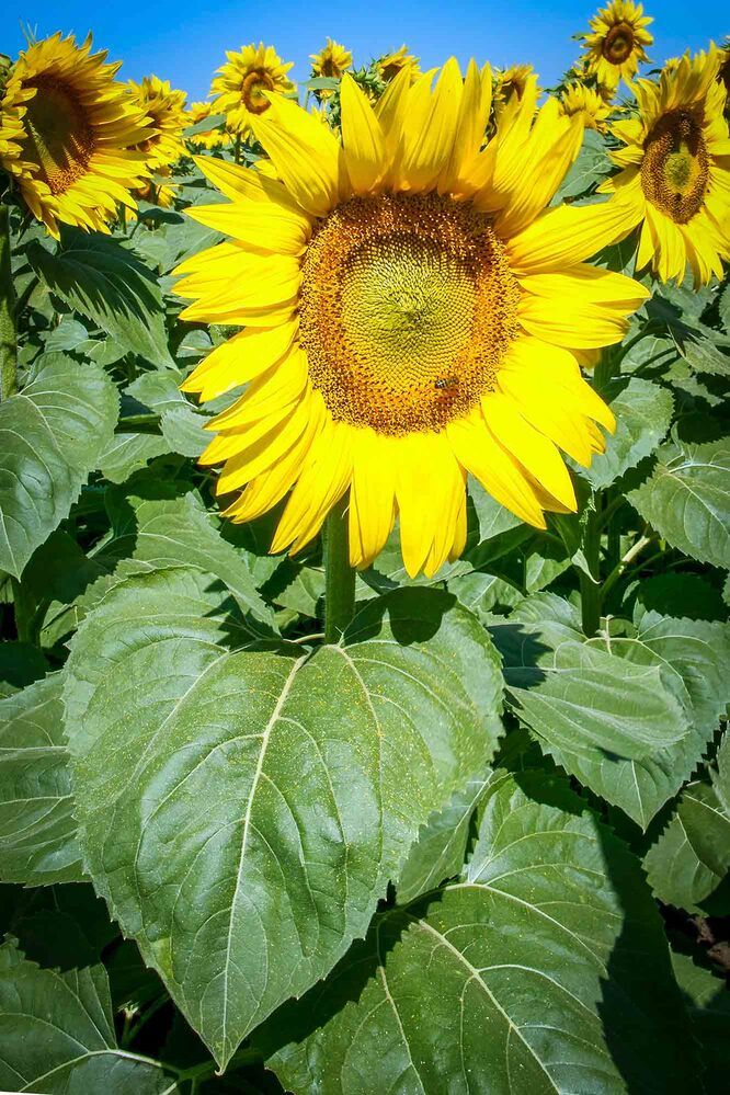 Photograph by Евгений Киселев