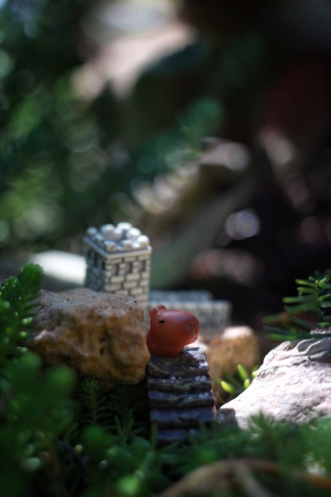 Photograph by AlexaL