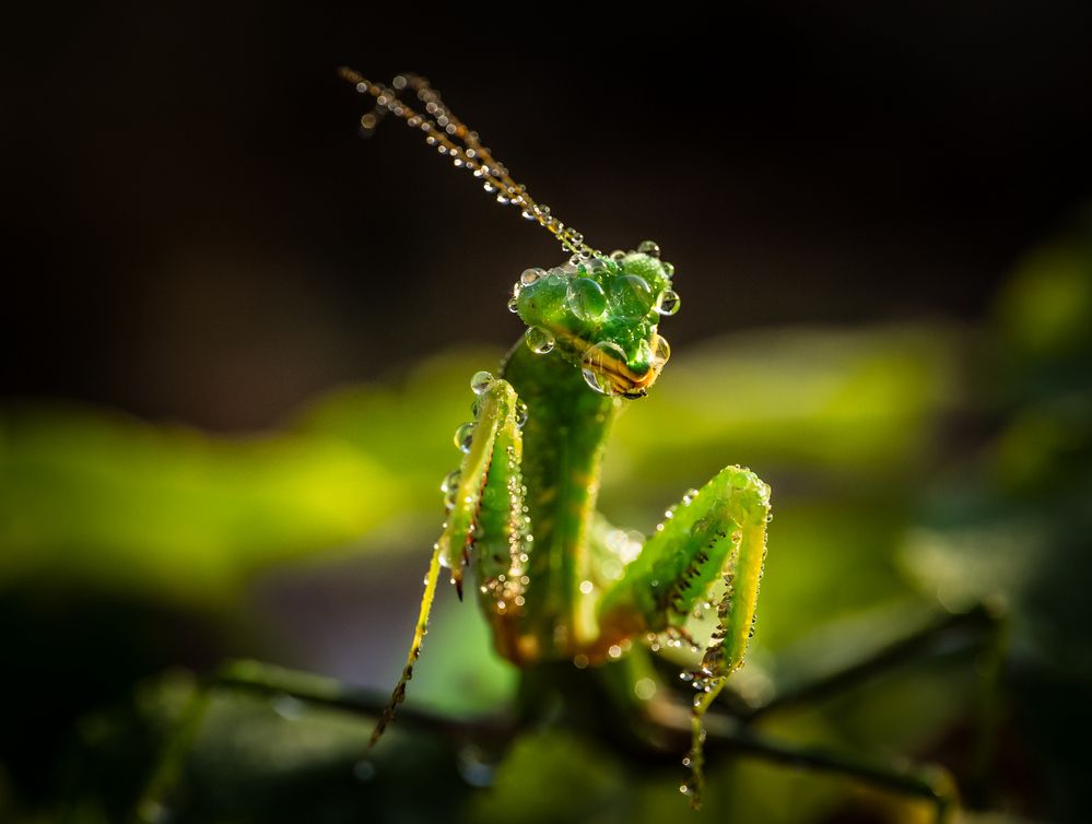 Photograph by David Solodar