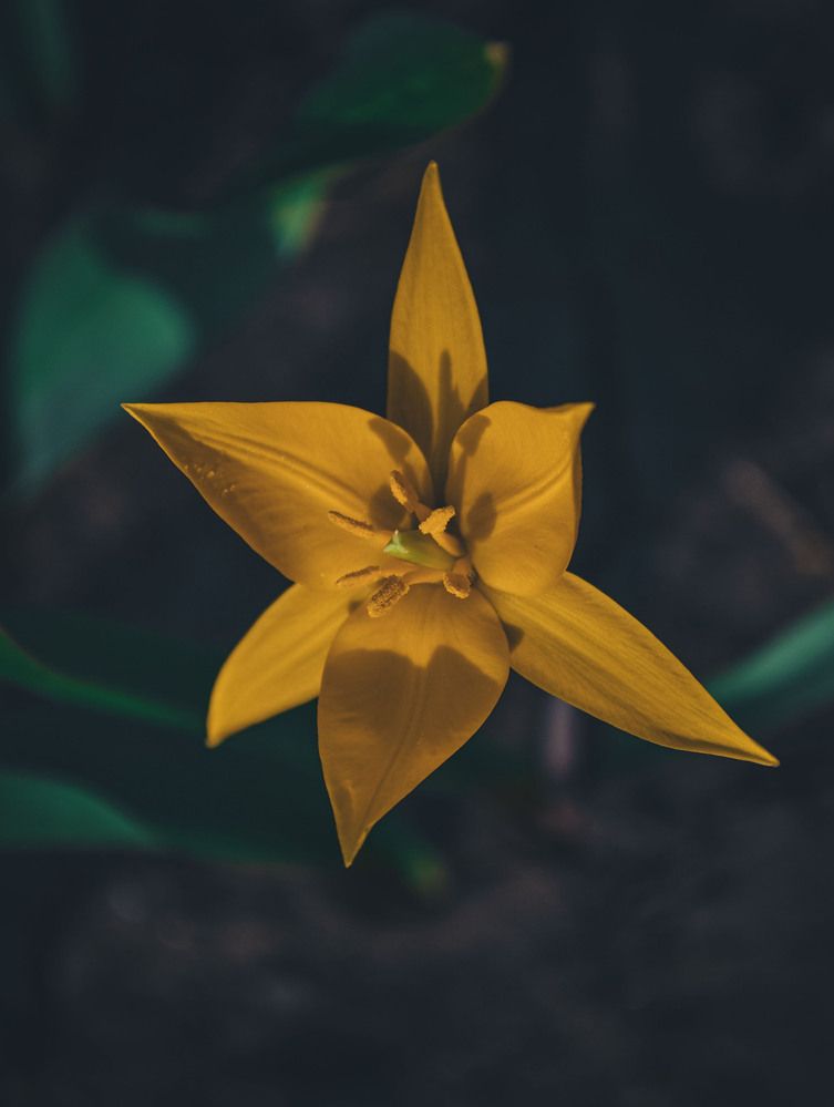 Photograph by Катерина Сорокина