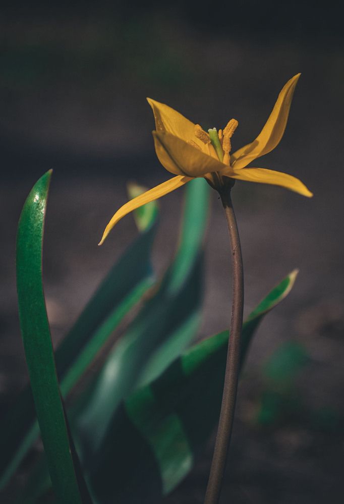 Photograph by Катерина Сорокина