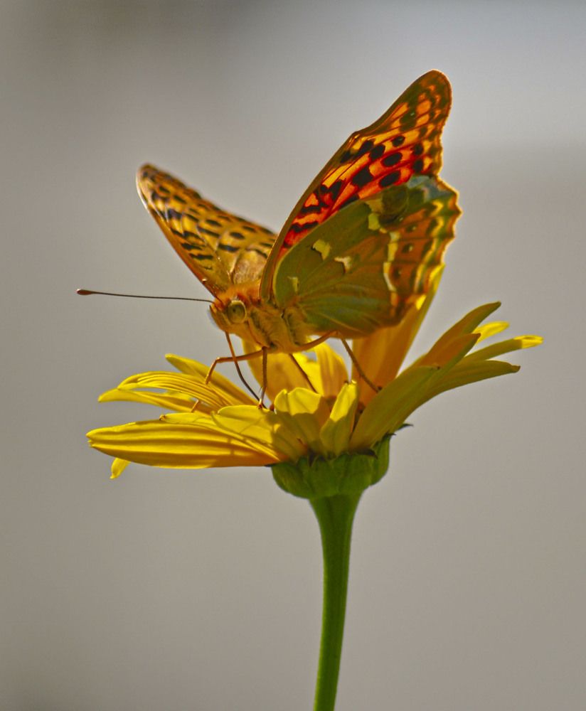 Photograph by Катерина Сорокина