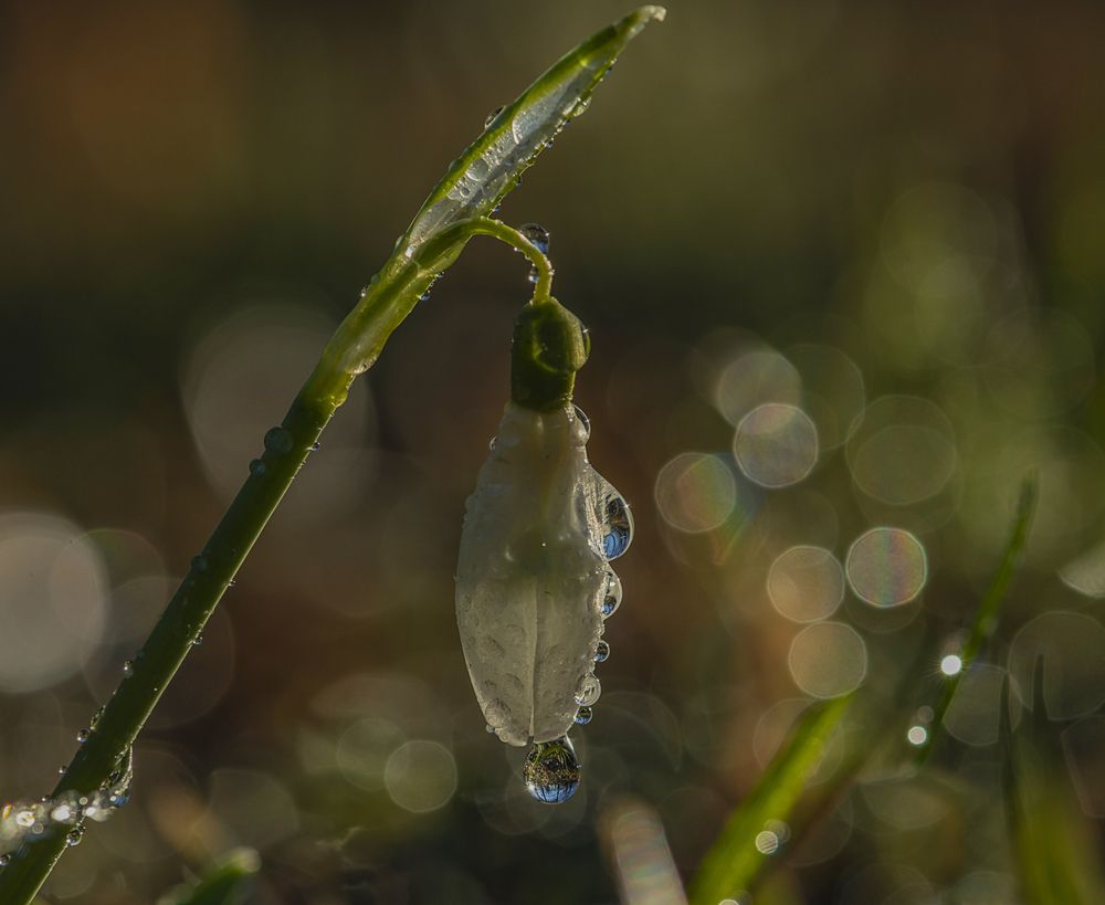 Слезы радости