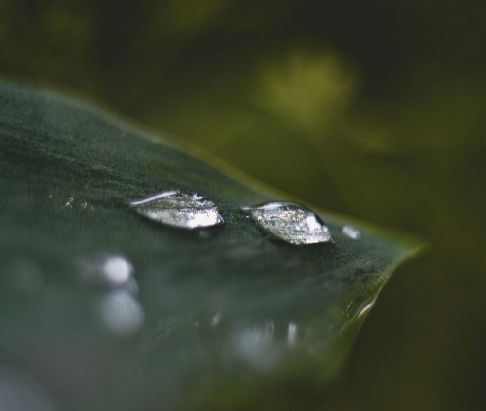 Photograph by Катерина Сорокина