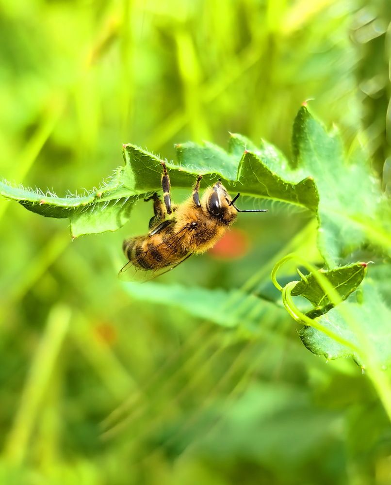 Photograph by Евгений Замковой