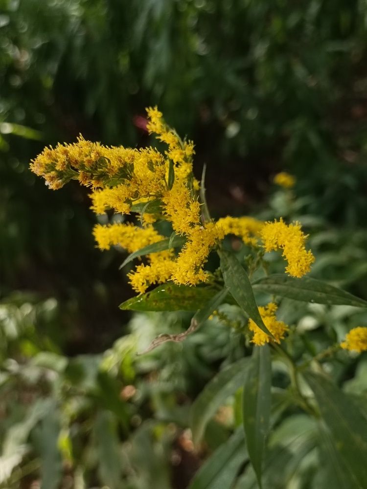 Photograph by Елена Пархоменко