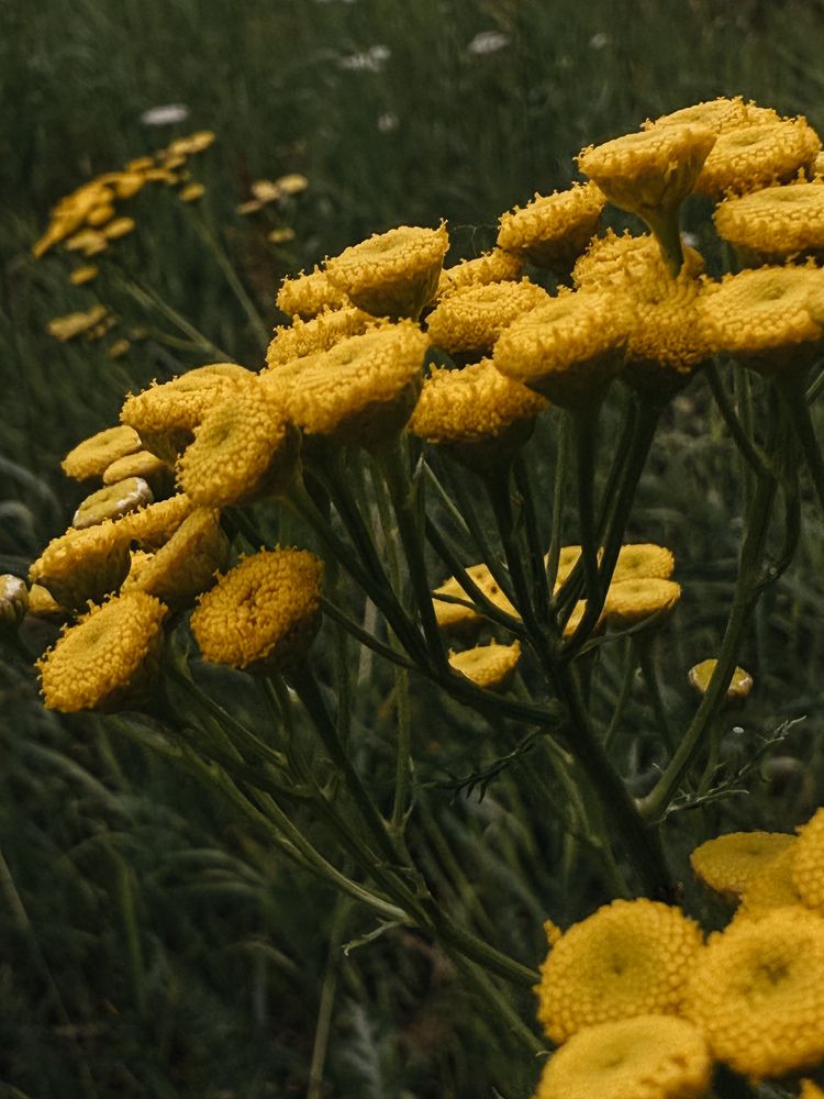 Фотография автора Анастасия Терехова
