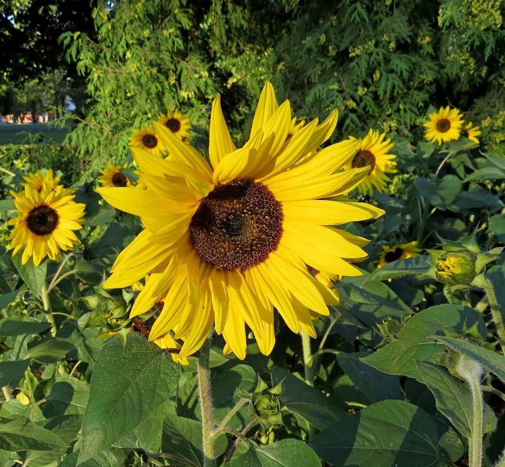 Photograph by Елена Казарина