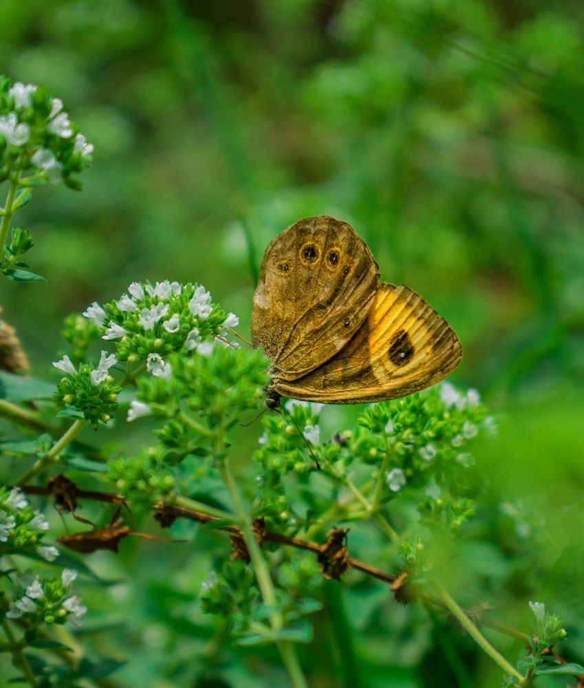 Photograph by zahra salardini