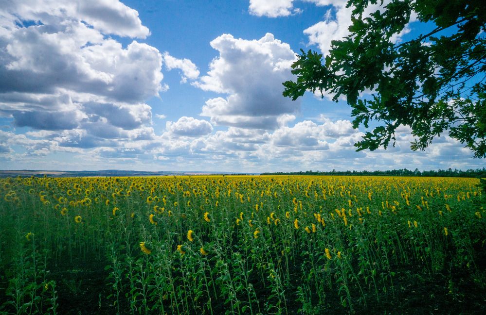 Photograph by Екатерина Вспышкина