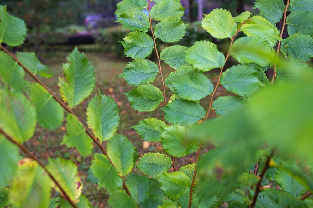 Photograph by Любовь Перевозникова