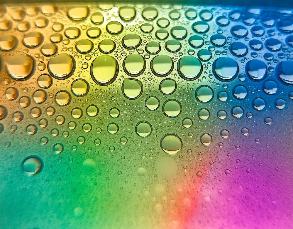 Photograph by Souvik Bhattacharyya