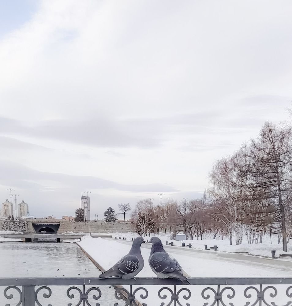 Photograph by Юлия