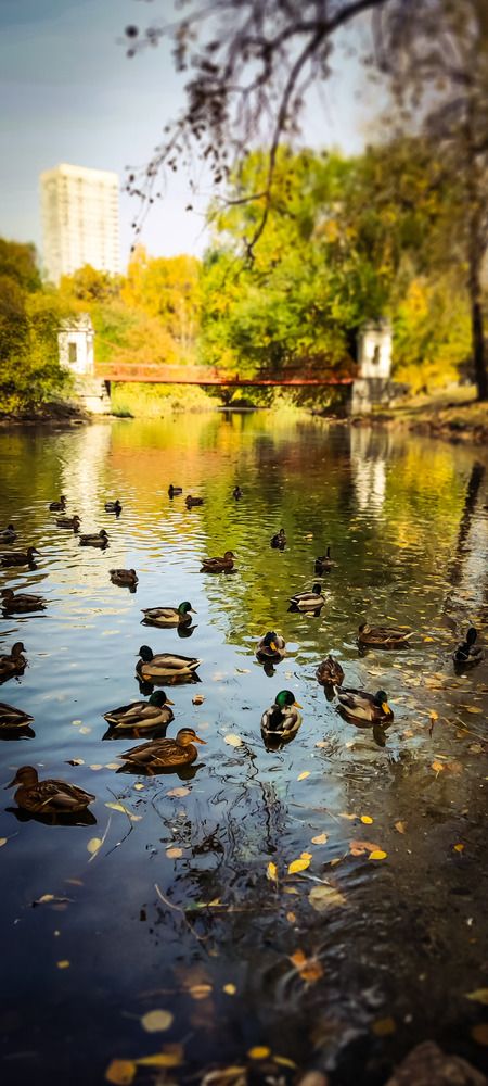 Photograph by Юлия